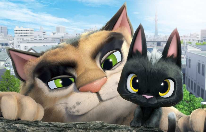 Gatos. Un viaje de vuelta a casa
