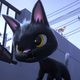 Gatos. Un viaje de vuelta a casa