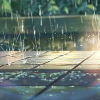 El jardín de las palabras