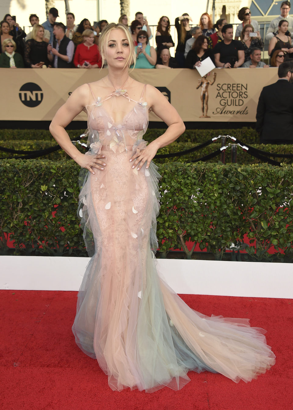 Kaley Cuoco en la alfombra roja de los SAG Awards 2017