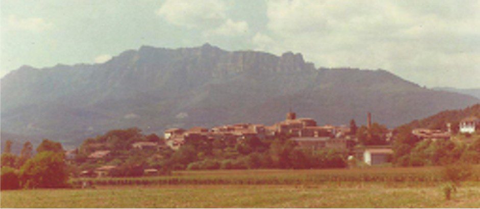 Verano 1993