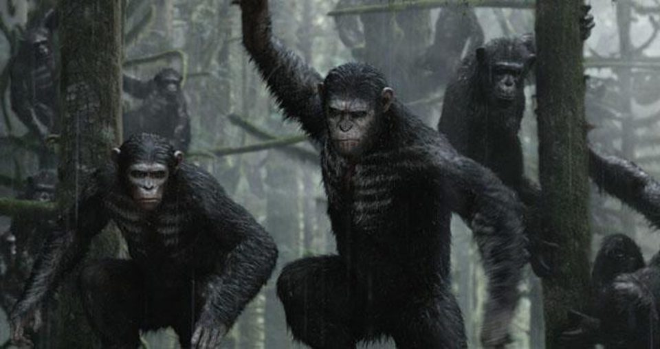 La guerra del planeta de los simios