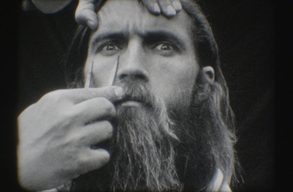 Análisis de sangre azul