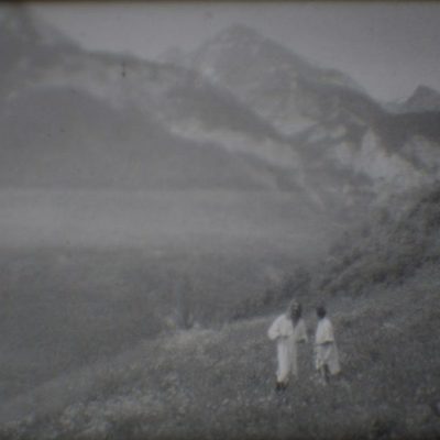 Análisis de sangre azul