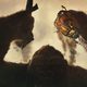Kong: La Isla Calavera