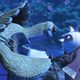 Kung Fu Panda