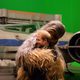 Star Wars: Los últimos Jedi