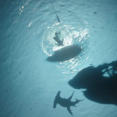 Piratas del Caribe: La venganza de Salazar
