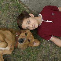 A Dog's Purpose