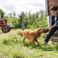 A Dog's Purpose