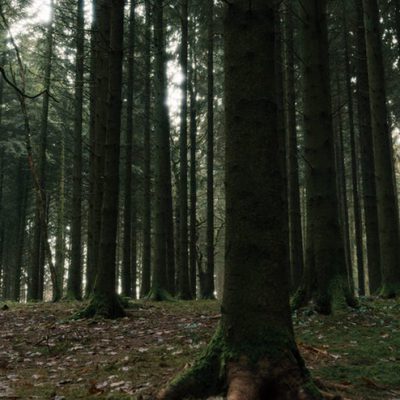 La cara oculta de la luna