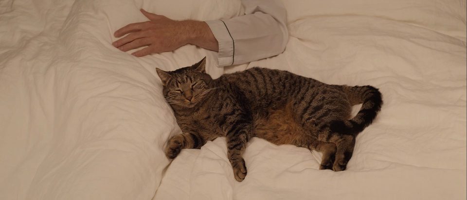 Kater