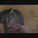 Kater