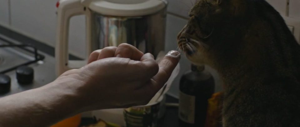 Kater