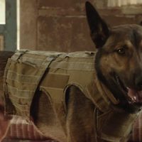 Max 2: White House Hero