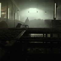 Awakening The Zodiac