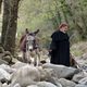 En pecado (The Little Hours)