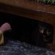 It