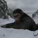 La guerra del planeta de los simios