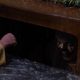 It