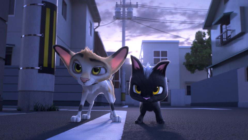Gatos. Un viaje de vuelta a casa