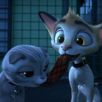 Gatos. Un viaje de vuelta a casa