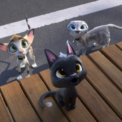 Gatos. Un viaje de vuelta a casa