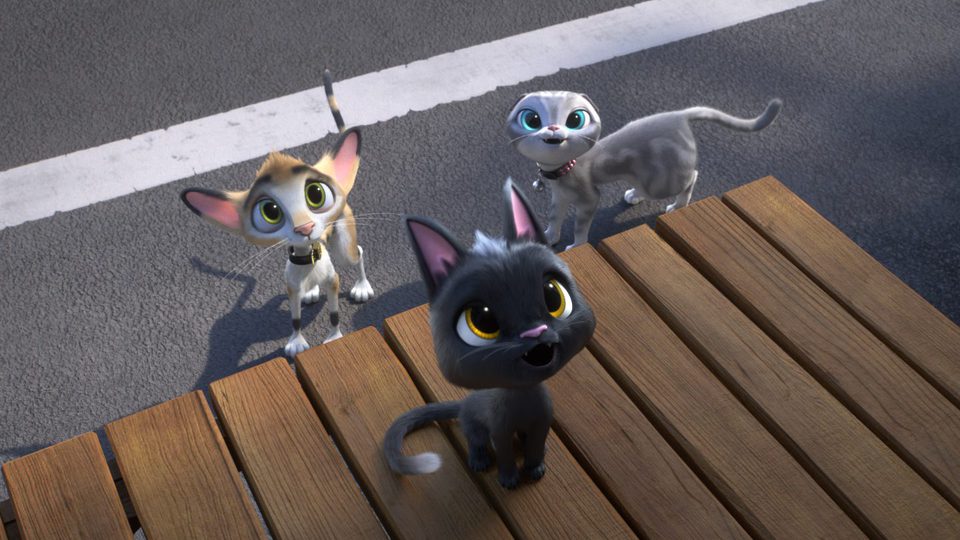 Gatos. Un viaje de vuelta a casa