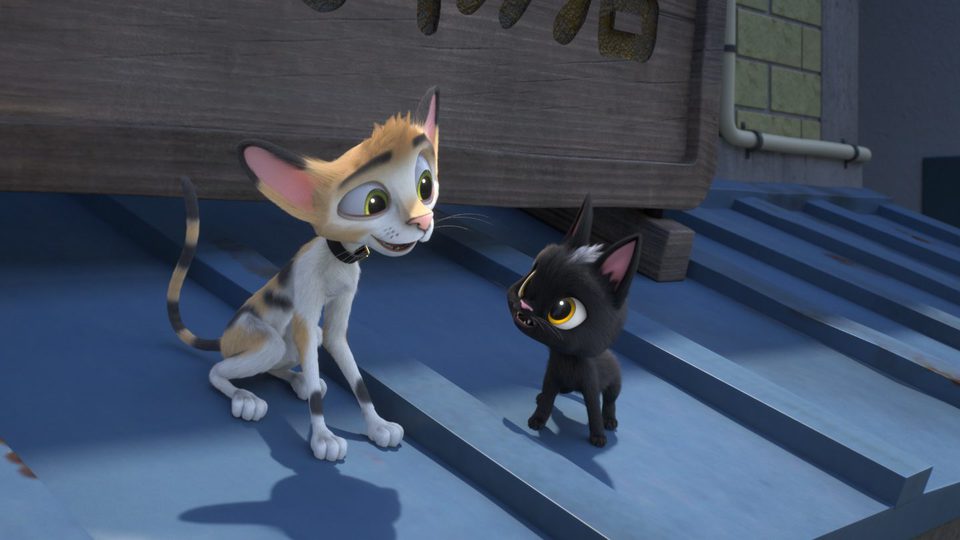 Gatos. Un viaje de vuelta a casa