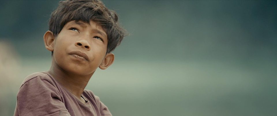 Tawai: A voice from the forest