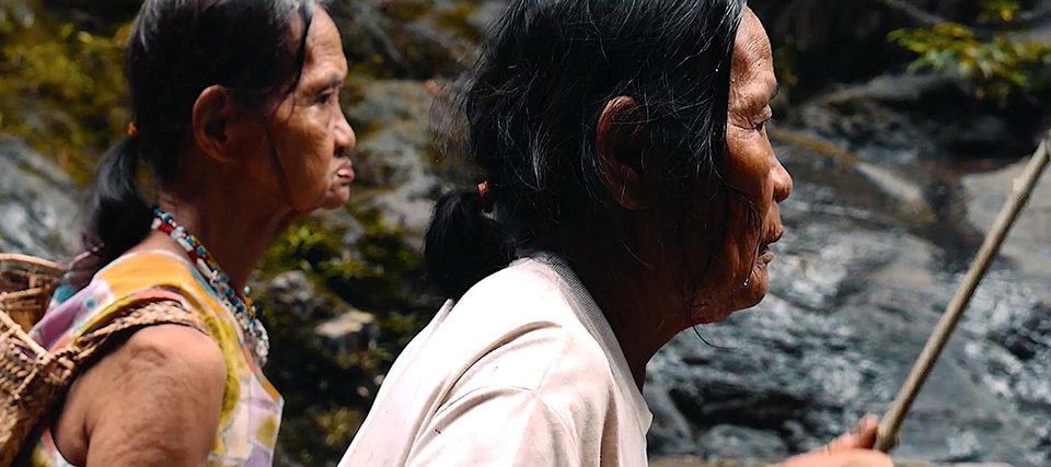 Tawai: A voice from the forest