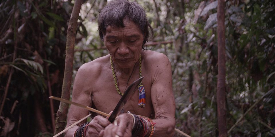 Tawai: A voice from the forest