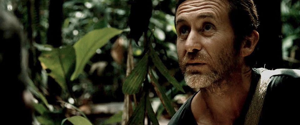 Tawai: A voice from the forest