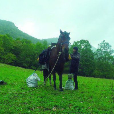 100 días de soledad