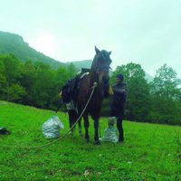 100 días de soledad