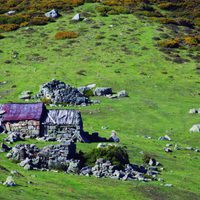 100 días de soledad