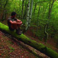 100 días de soledad