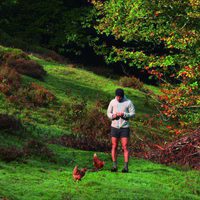 100 días de soledad