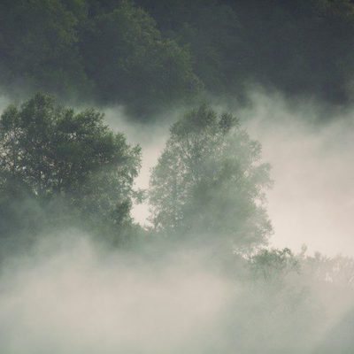 100 días de soledad