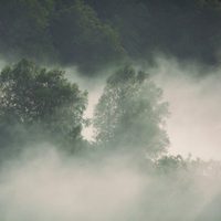 100 días de soledad