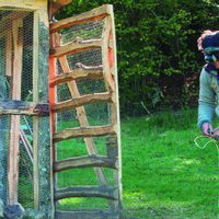 100 días de soledad