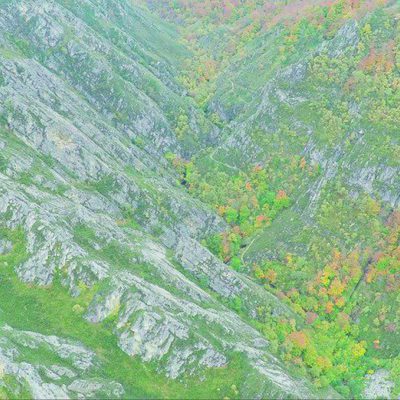 100 días de soledad