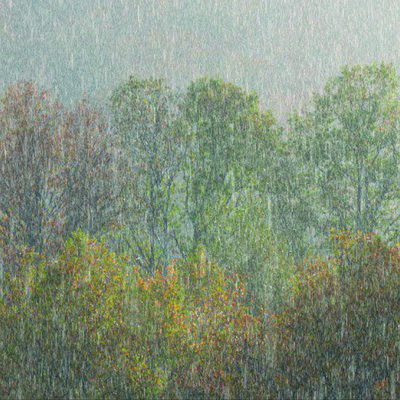 100 días de soledad