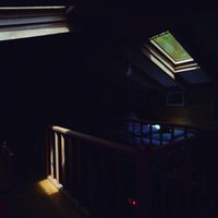 100 días de soledad