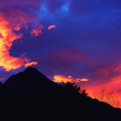 100 días de soledad