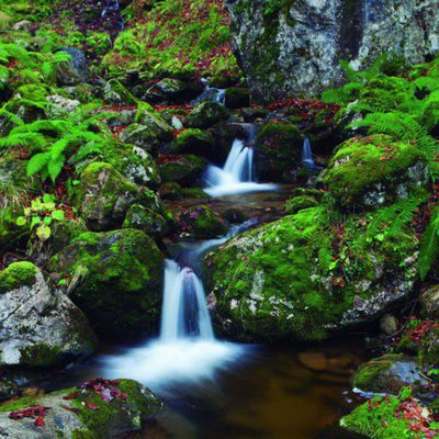 100 días de soledad