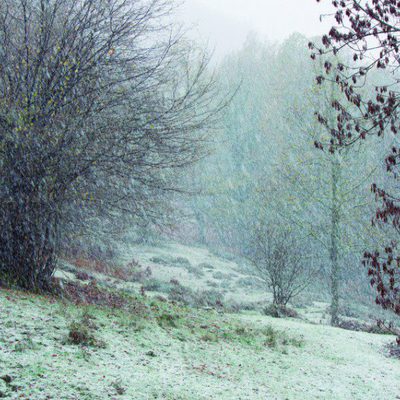 100 días de soledad