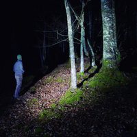 100 días de soledad