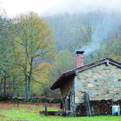 100 días de soledad