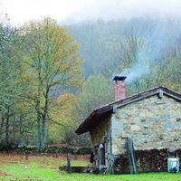 100 días de soledad